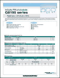 Click here to download G8195 Datasheet