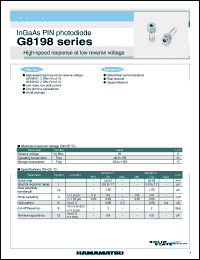 Click here to download G8198 Datasheet