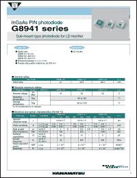 Click here to download G8941 Datasheet
