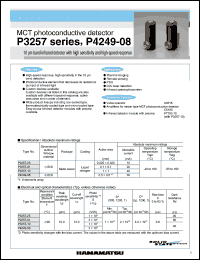 Click here to download P3257 Datasheet