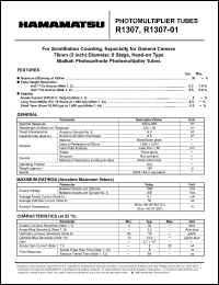 Click here to download R1307-01 Datasheet