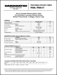 Click here to download R980 Datasheet