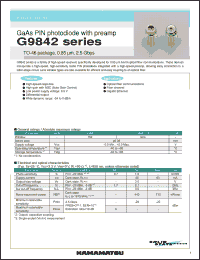 Click here to download G9842 Datasheet