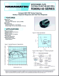 Click here to download R3809U-53 Datasheet