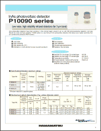 Click here to download P10090-01 Datasheet