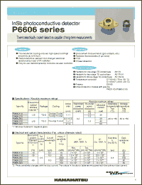 Click here to download P6606_04 Datasheet