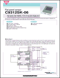 Click here to download C9312SK-06 Datasheet