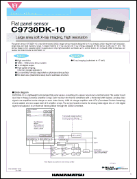 Click here to download C9730DK-10 Datasheet
