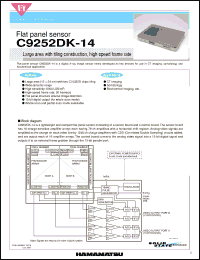 Click here to download C9252DK-14 Datasheet
