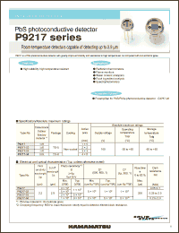 Click here to download P9217-04 Datasheet