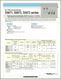 Click here to download S5971 Datasheet