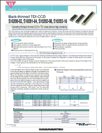Click here to download S10200-02 Datasheet