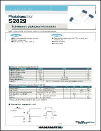 Click here to download S2829 Datasheet