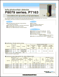Click here to download P8079_07 Datasheet