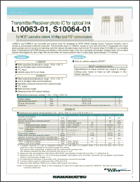 Click here to download L10063-01 Datasheet