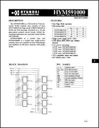 Click here to download HYM591000P70 Datasheet