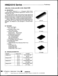 Click here to download HN624316FBN15 Datasheet