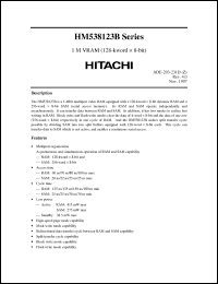 Click here to download HM538123B Datasheet