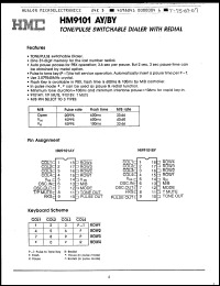 Click here to download HM9101BY Datasheet