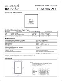 Click here to download HF51A060ACE Datasheet