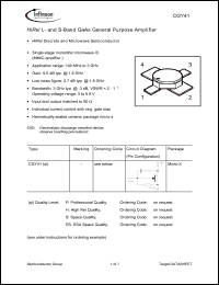 Click here to download CGY41 Datasheet