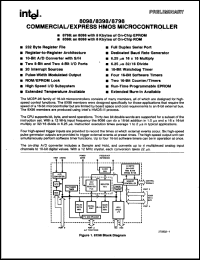 Click here to download P8098 Datasheet