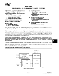 Click here to download AN68C257-200V05 Datasheet