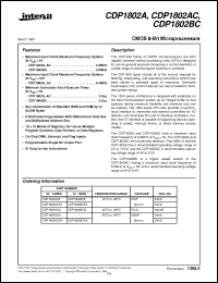 Click here to download CDP1802 Datasheet