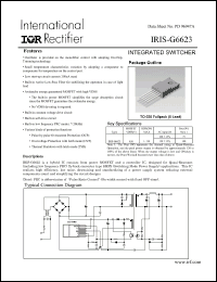 Click here to download IRIS-G6623 Datasheet