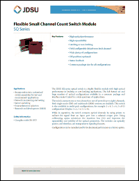 Click here to download SQ163Y47 Datasheet