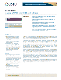 Click here to download RSAM5800B Datasheet