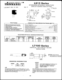Click here to download L613DY Datasheet