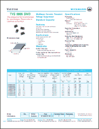 Click here to download WT0805ML030A Datasheet