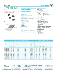 Click here to download WT1206ML030A Datasheet