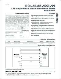Click here to download DS3030W-100 Datasheet