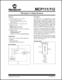 Click here to download MCP111T-195TT Datasheet