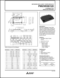 Click here to download PM25RSB120 Datasheet