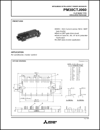 Click here to download PM30CTJ060 Datasheet