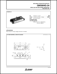 Click here to download QM30HQ-24 Datasheet