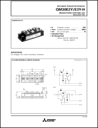 Click here to download QM30E2 Datasheet