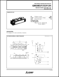 Click here to download QM30E2Y-2 Datasheet