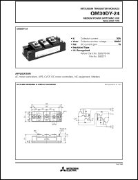 Click here to download QM30DY-24 Datasheet