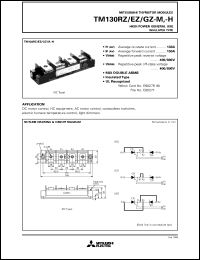 Click here to download TM130EZ-M Datasheet