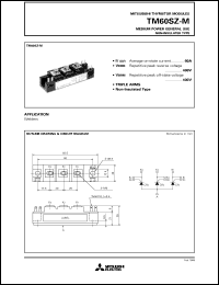 Click here to download TM60 Datasheet