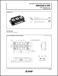Click here to download RM300CA-9W Datasheet