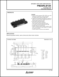 Click here to download PM25RLB120 Datasheet