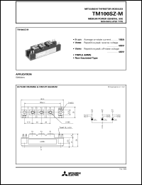 Click here to download TM100 Datasheet