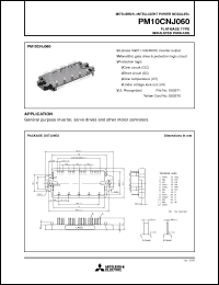 Click here to download PM10CNJ060 Datasheet