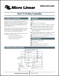 Click here to download ML2731CT Datasheet