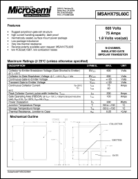 Click here to download MSAHX75L60 Datasheet